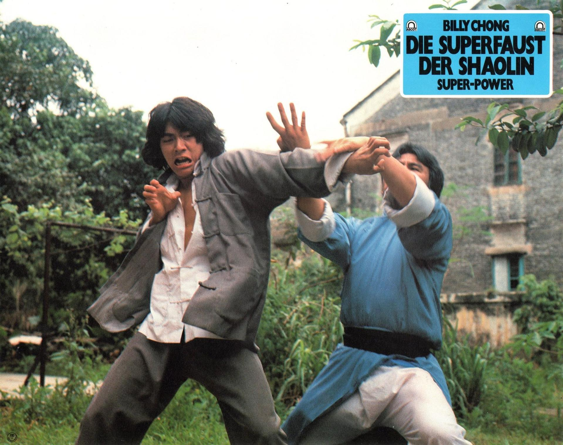 Zwei Männer in Kampfkunst-Pose. Einer in grauer Jacke, der andere in Blau. Im Hintergrund eine Filmtitelkarte.