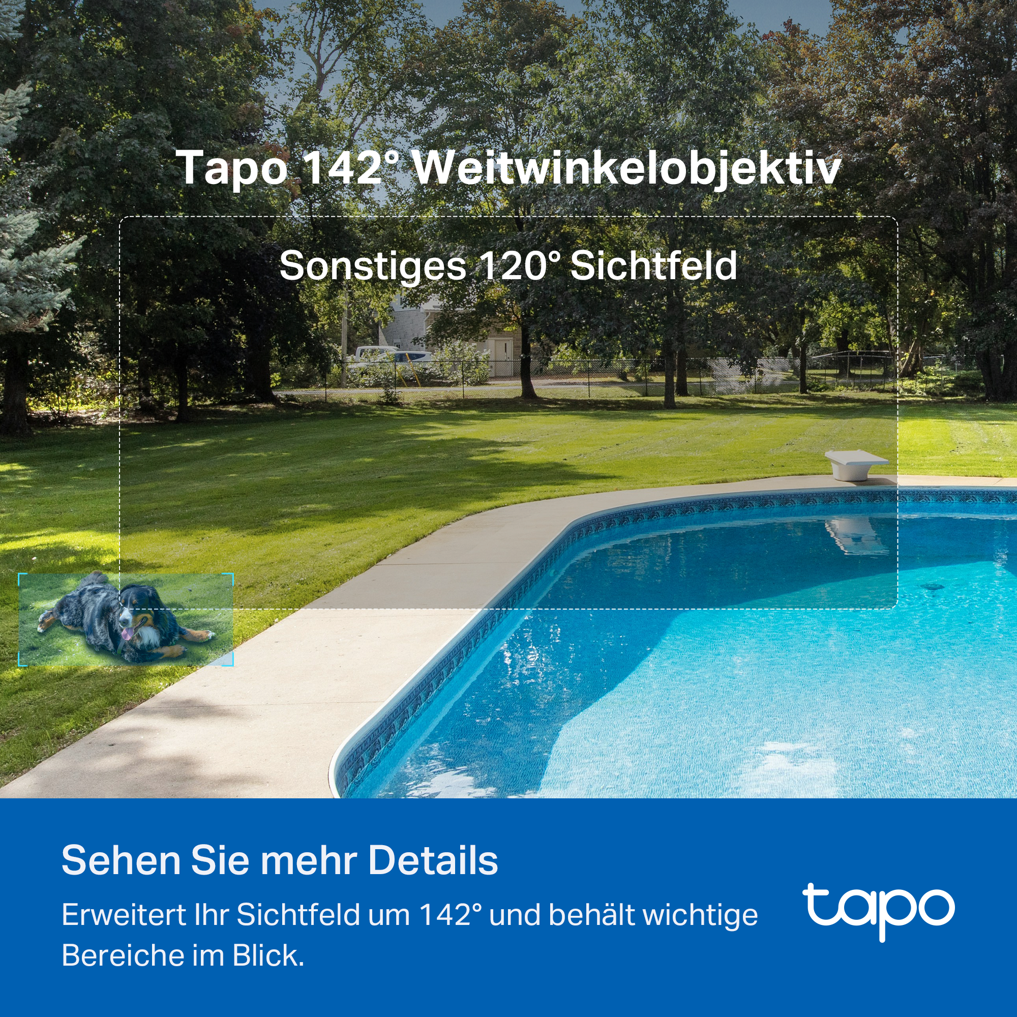 Ein Pool mit blauem Wasser, ein Hund auf dem Rasen und Bäume im Hintergrund.