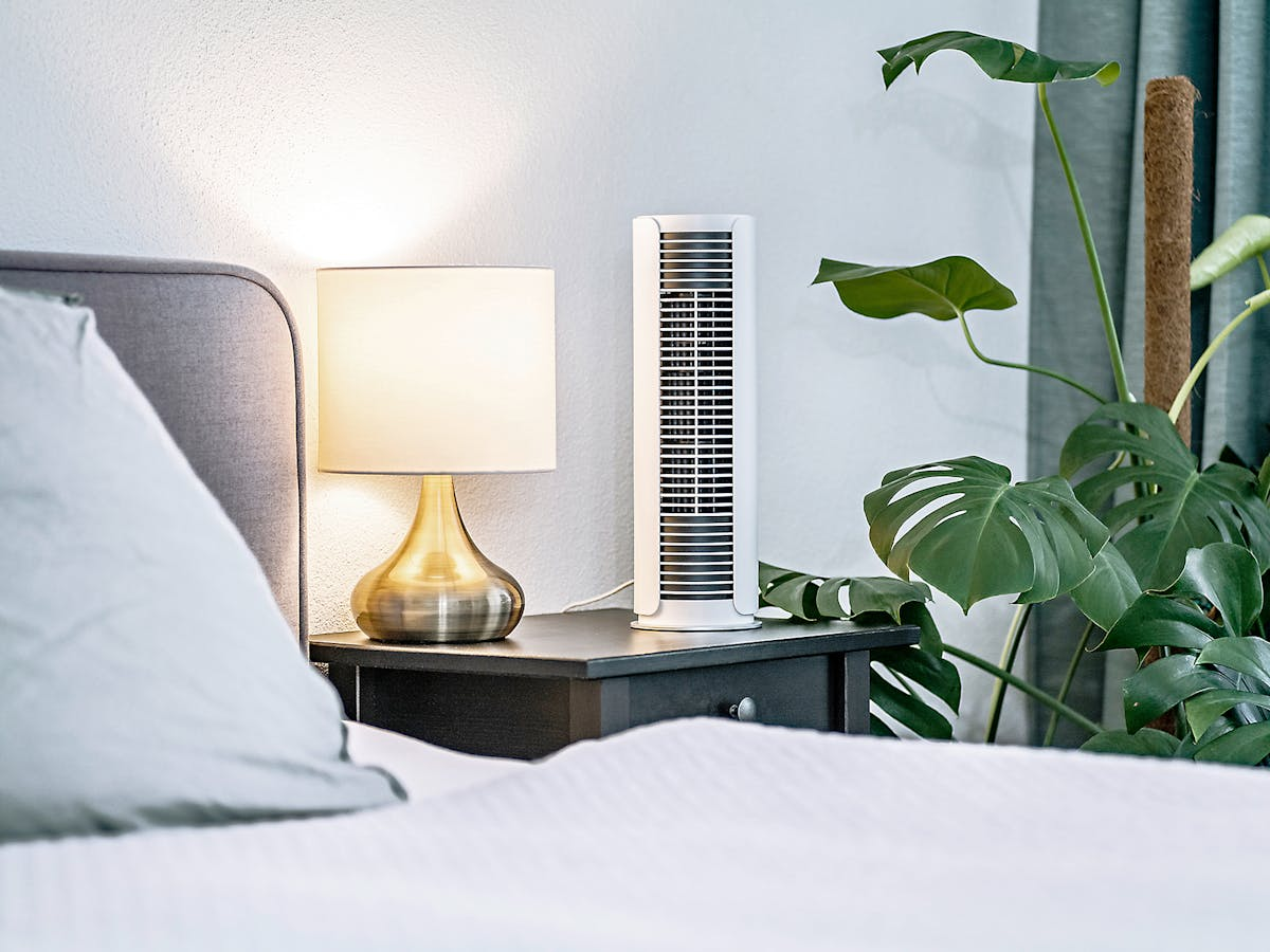 Scena di camera da letto con lampada, ventilatore e pianta. Letto in primo piano, lampada sul comodino, ventilatore accanto, pianta di Monstera.