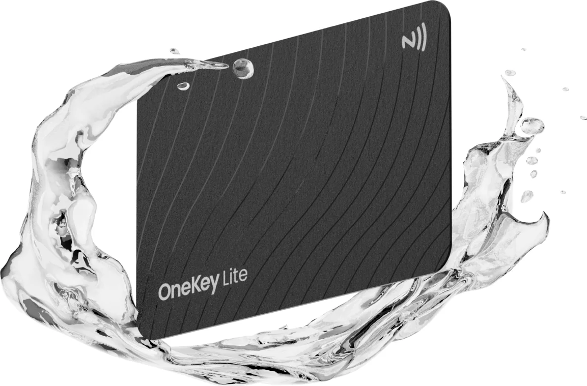 Eine schwarze Karte mit geschwungenen Linien und dem Text 'OneKey Lite', umgeben von Wasserspritzern.