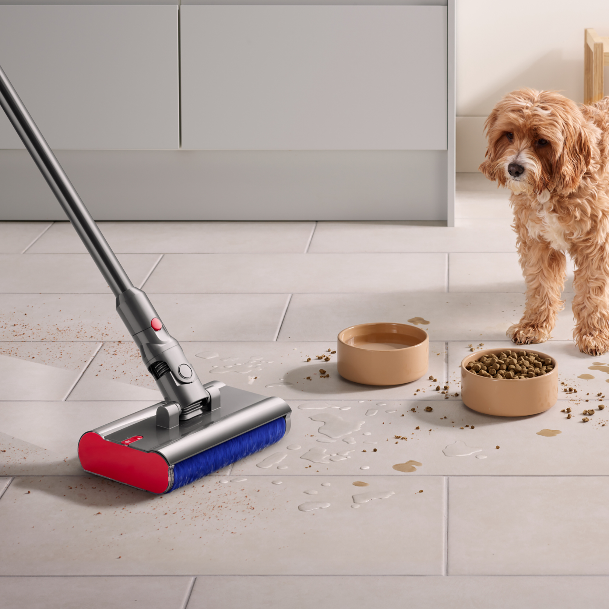 Pies stoi w pobliżu misek z jedzeniem i wodą na podłodze wyłożonej kafelkami. Odkurzacz jest używany do sprzątania rozlanych płynów.