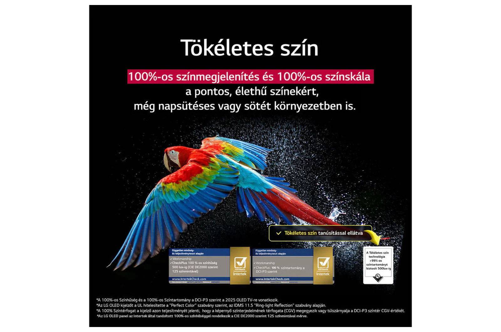 Egy piros, kék és sárga tollazatú ara repül fekete háttér előtt. A tökéletes színekről szóló szöveg felül látható.
