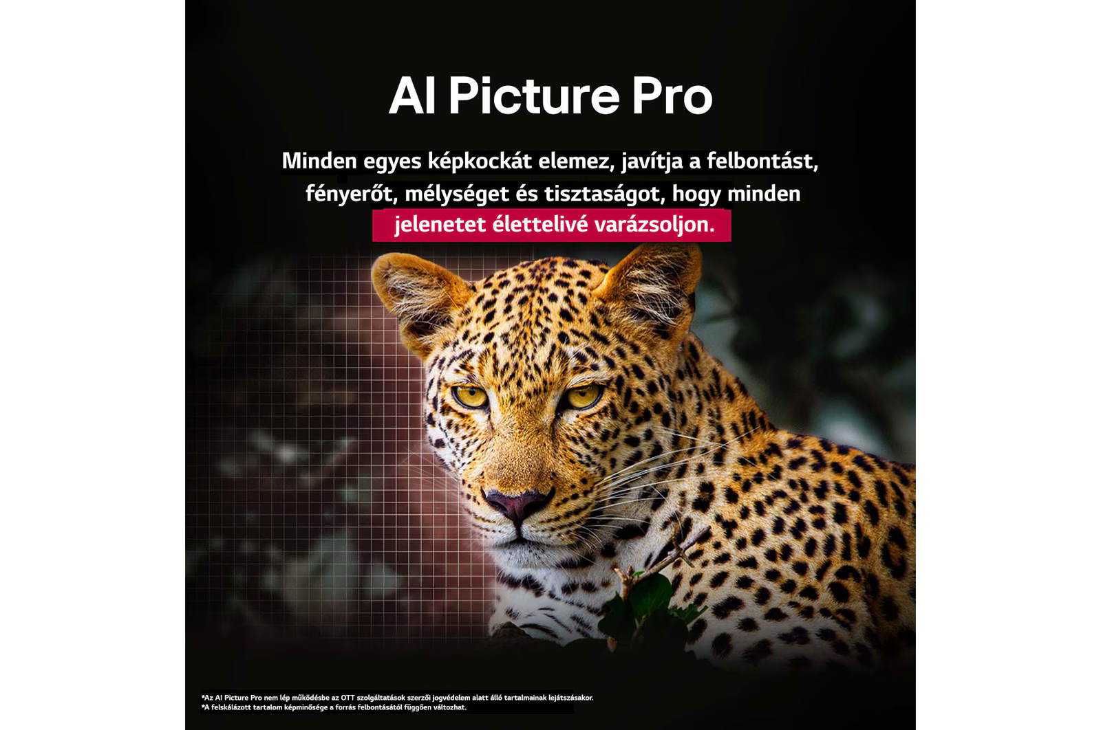 Leopárd arca közelről, sárga szemekkel és foltokkal. Felirat: 'AI Picture Pro'.