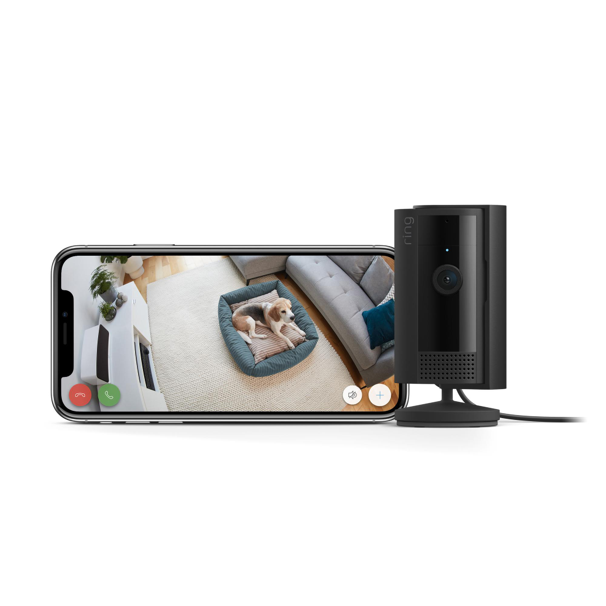 Ein Telefon zeigt einen Hund in einem Bett, rechts ist eine schwarze Überwachungskamera. Die Szene ist drinnen.