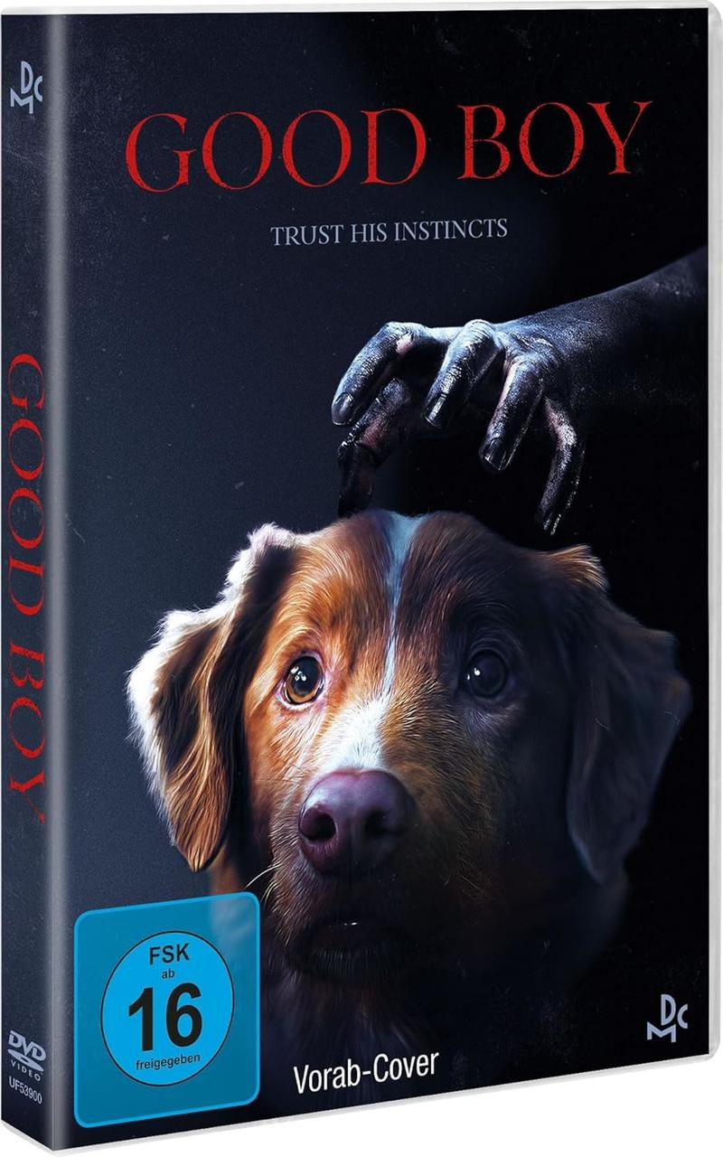 DVD-Cover. Das Gesicht eines Hundes unter einer dunklen Hand. Der Titel lautet 'GOOD BOY'. Enthält Altersfreigabe.