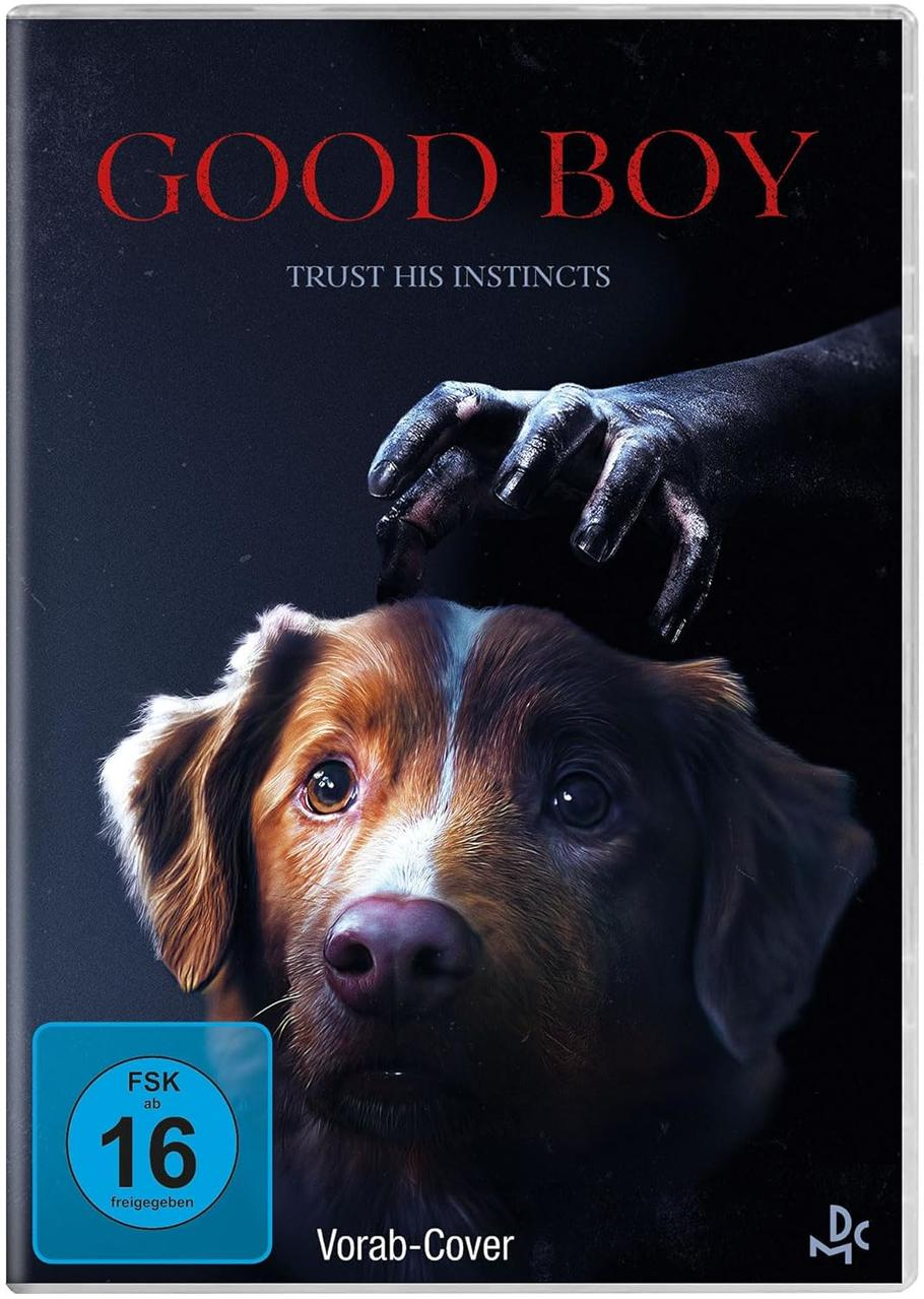 DVD-Cover. Ein Hund mit braun-weißem Fell blickt nach oben. Eine schwarze Hand schwebt darüber. Titel lautet 'GOOD BOY'.