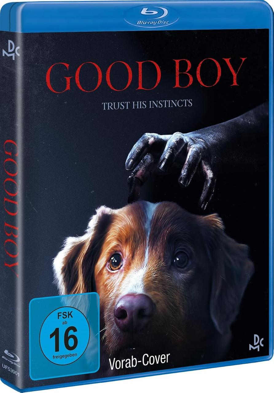Blu-ray-Cover: Ein Hund mit braun-weißem Fell, eine schwarze Hand auf seinem Kopf und der Titel 'GOOD BOY'.