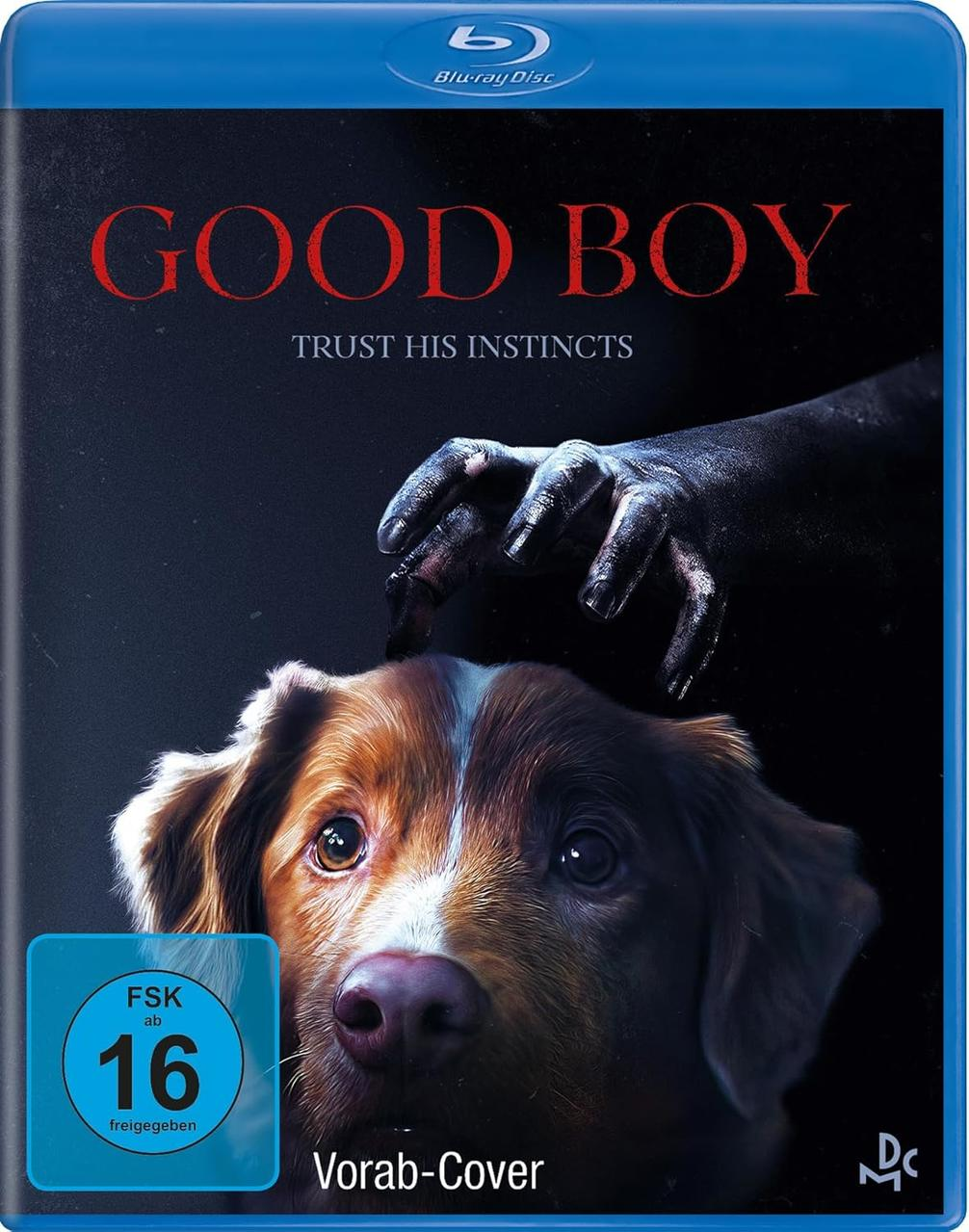 Blu-ray-Cover. Titel "Good Boy", Hundegesicht, dunkle Hand darüber. FSK 16-Bewertung. Der Hintergrund ist dunkelblau.