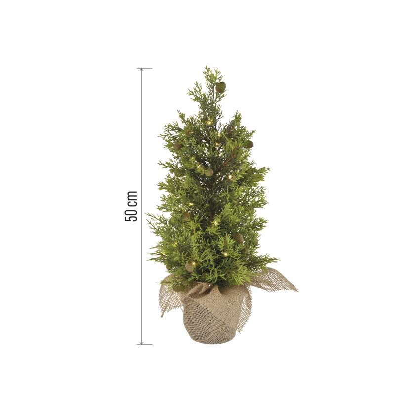 Egy kis, műfenyő egy zsákvászon cserépben. Apró lámpák és tobozok vannak rajta. Mellette egy 50 cm-es vonalzó található.