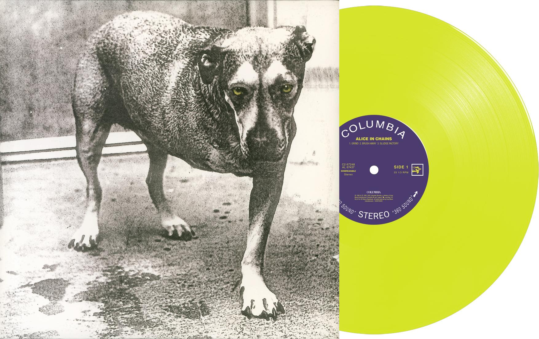 Monochromes Bild eines Hundes, der auf den Betrachter zugeht, neben einer hellgrünen Schallplatte mit Albumdetails.