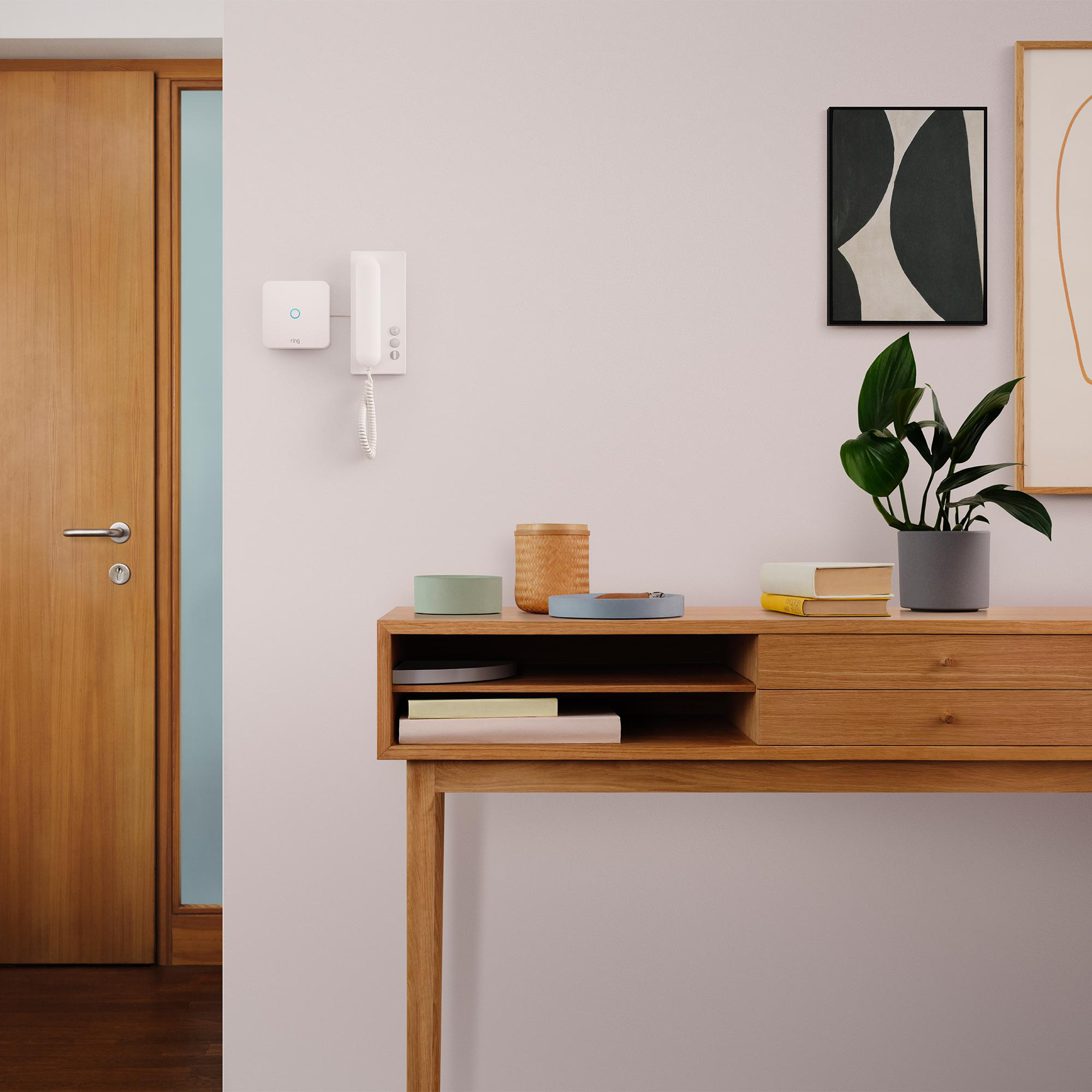 Ein Holztisch mit Dekoration und einer Pflanze. Eine Tür und eine Gegensprechanlage sind an der Wand.