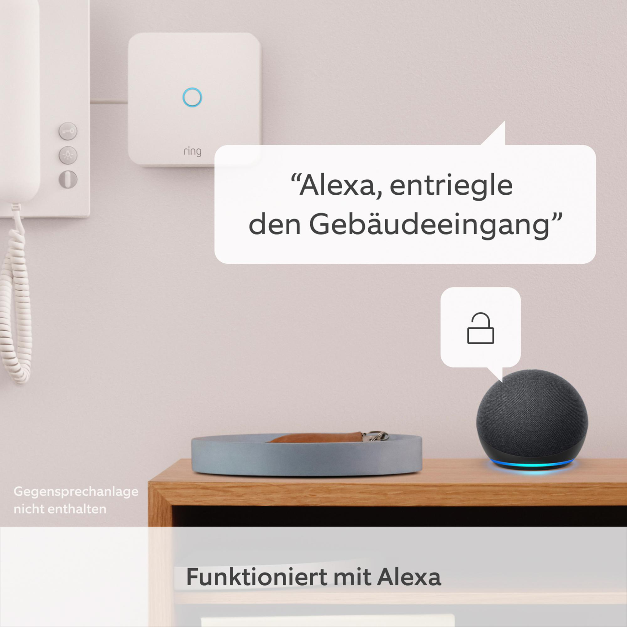 Das Bild zeigt Smart-Home-Geräte. Ein Alexa-Lautsprecher und eine Ring-Türklingel sind zu sehen, mit einer Sprechblase.