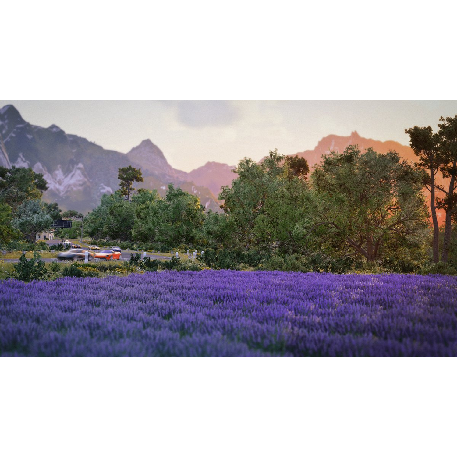 A field of purple flowers in the foreground, with a road and cars, trees, and mountains in the background under a sunset.