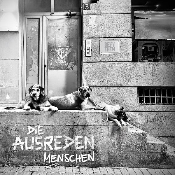 Drei Hunde liegen auf Betonstufen mit Graffiti. Im Hintergrund befinden sich eine Tür und ein Fenster.