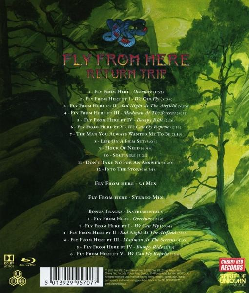 Albumcover: Grüner Hintergrund mit Text 'Fly From Here', Titelliste und ein Schlangenlogo.