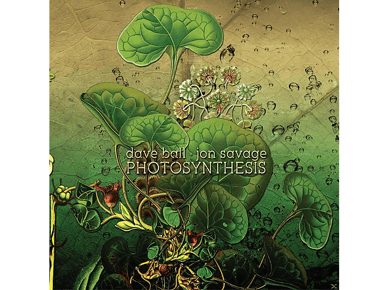 Dave Ball,Jon Savage - Photosynthesis - (CD)