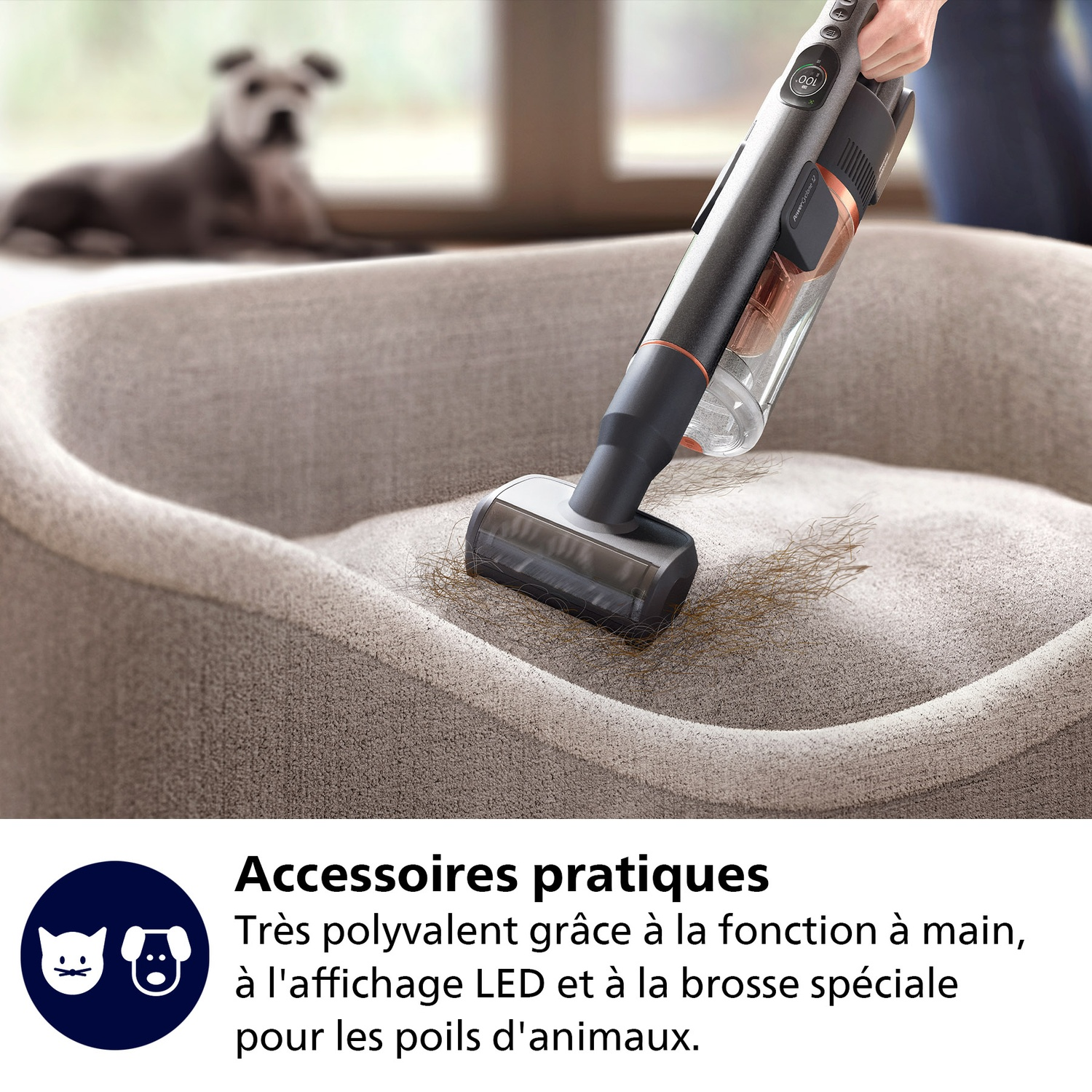 Un aspirateur à main nettoie un panier pour chien. Un chien est au fond. L'aspirateur est noir et orange.