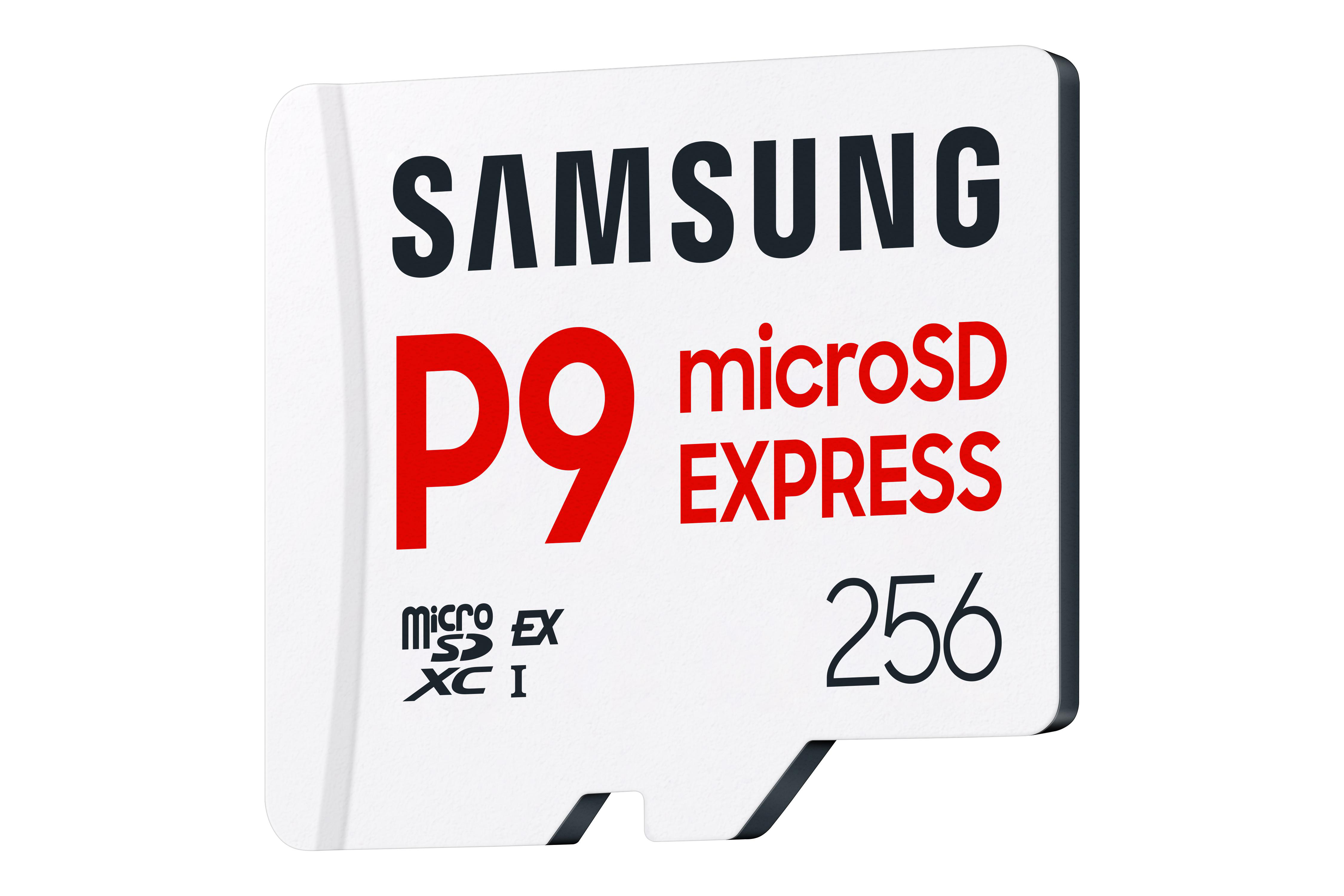 Eine Samsung microSD-Karte. Sie ist weiß mit schwarzem und rotem Text und hat eine Kapazität von 256 GB.