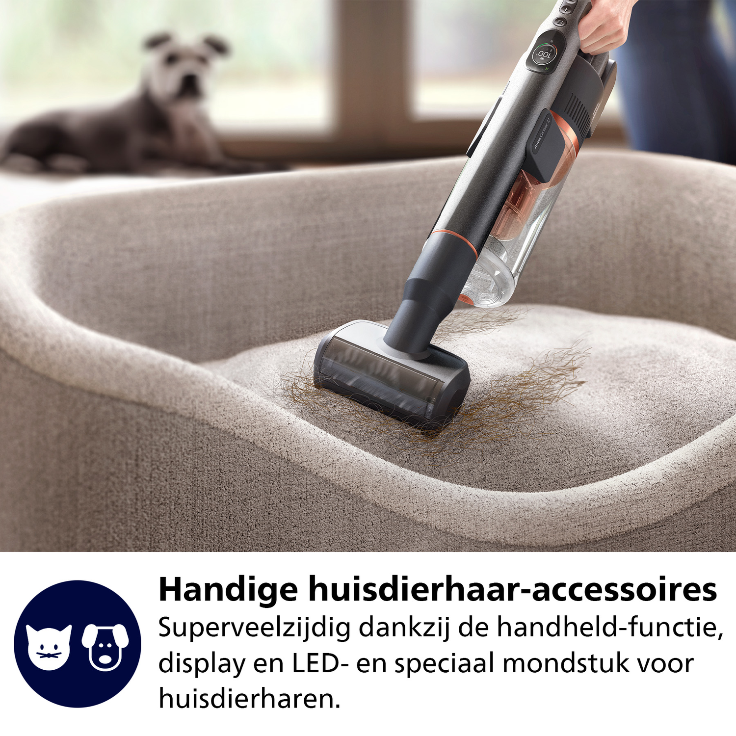 A vacuum cleaner is cleaning a dog bed. A dog is in the background. The text says: handy pet hair accessories.
