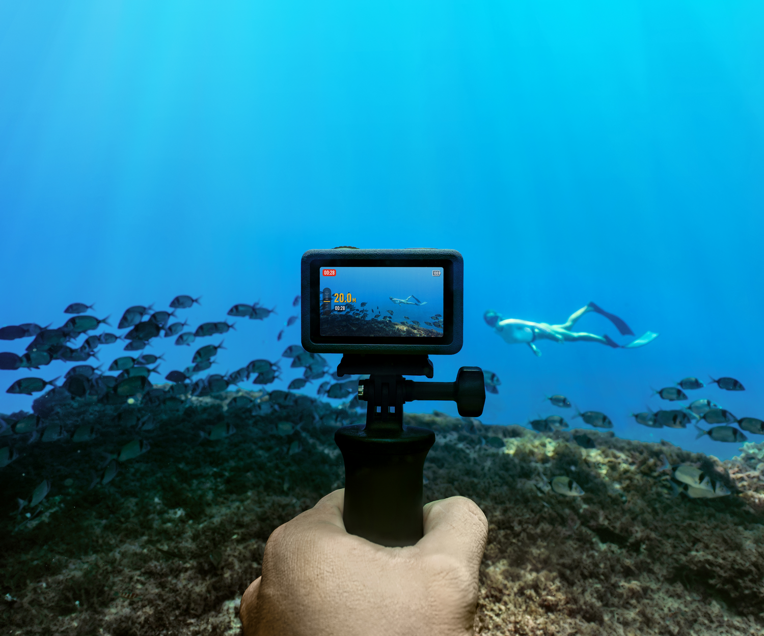 Una mano sosteniendo una cámara submarina, grabando a un buceador y peces. La pantalla de la cámara muestra al buceador. Agua azul y arrecife.