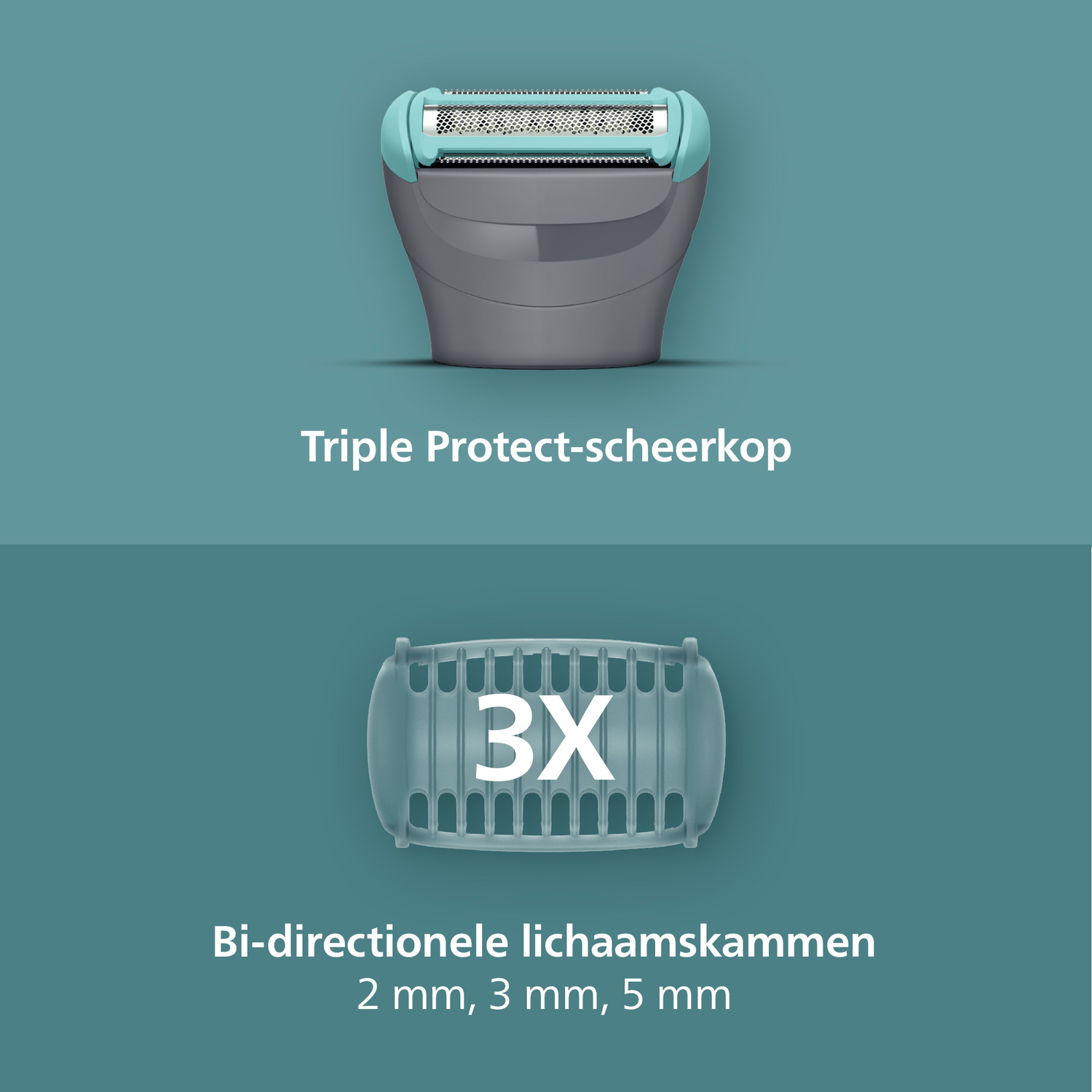 Image shows a shaver head and body combs. The head is grey and teal. The combs are translucent. Text says 'Triple Protect' and '3X'.