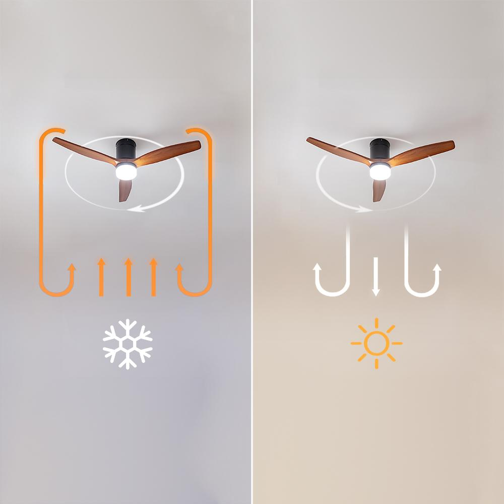 Imagen muestra ventilador de techo con aspas de madera. Lado izquierdo con icono de aire frío, lado derecho aire caliente. Flechas y símbolos de copo de nieve/sol.