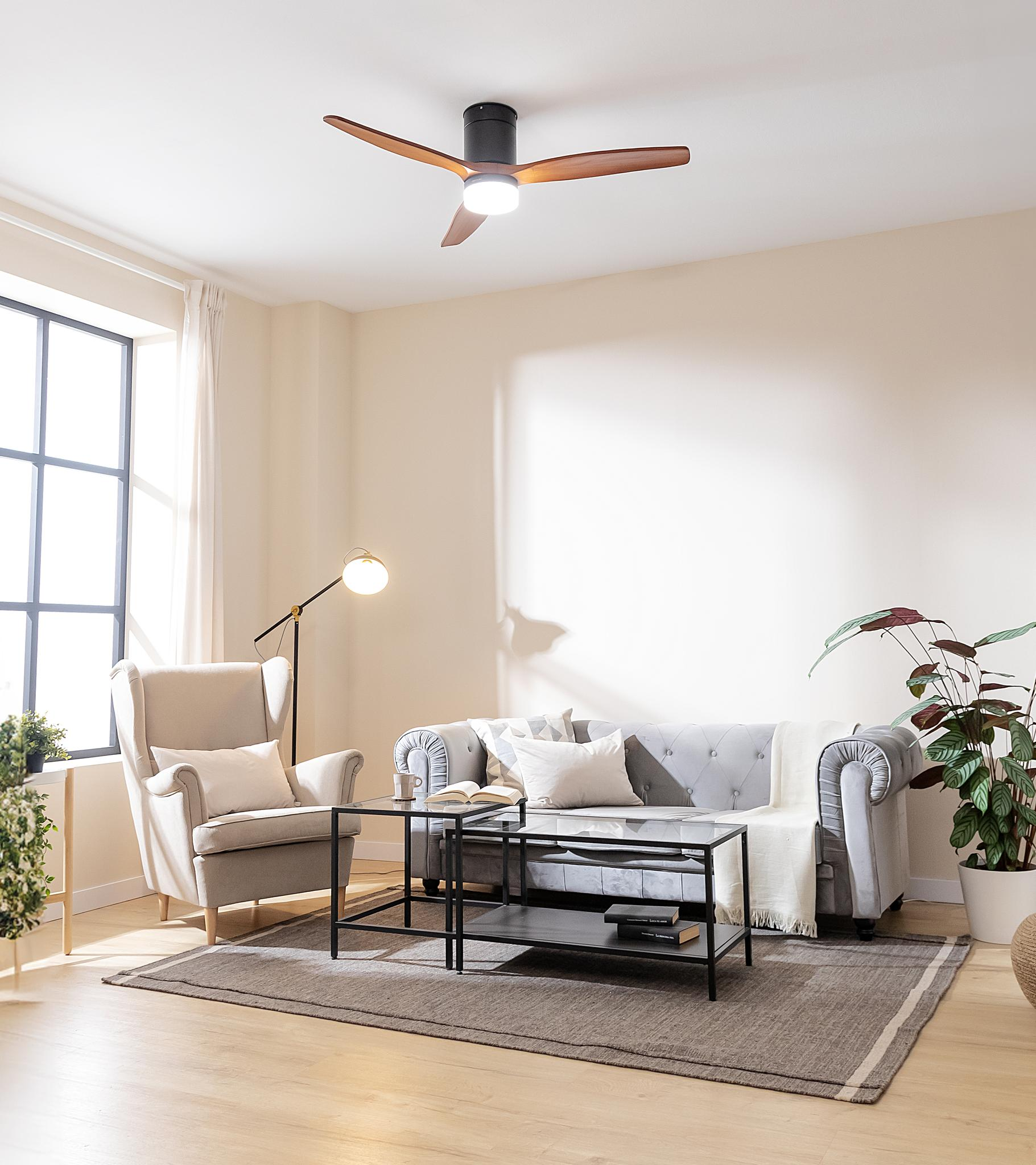 Salón con sofá, sillón, mesa de centro y ventilador de techo. Una planta en maceta a la derecha.