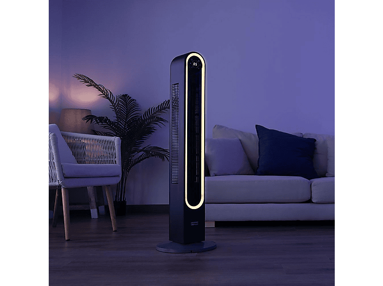 Vista 2