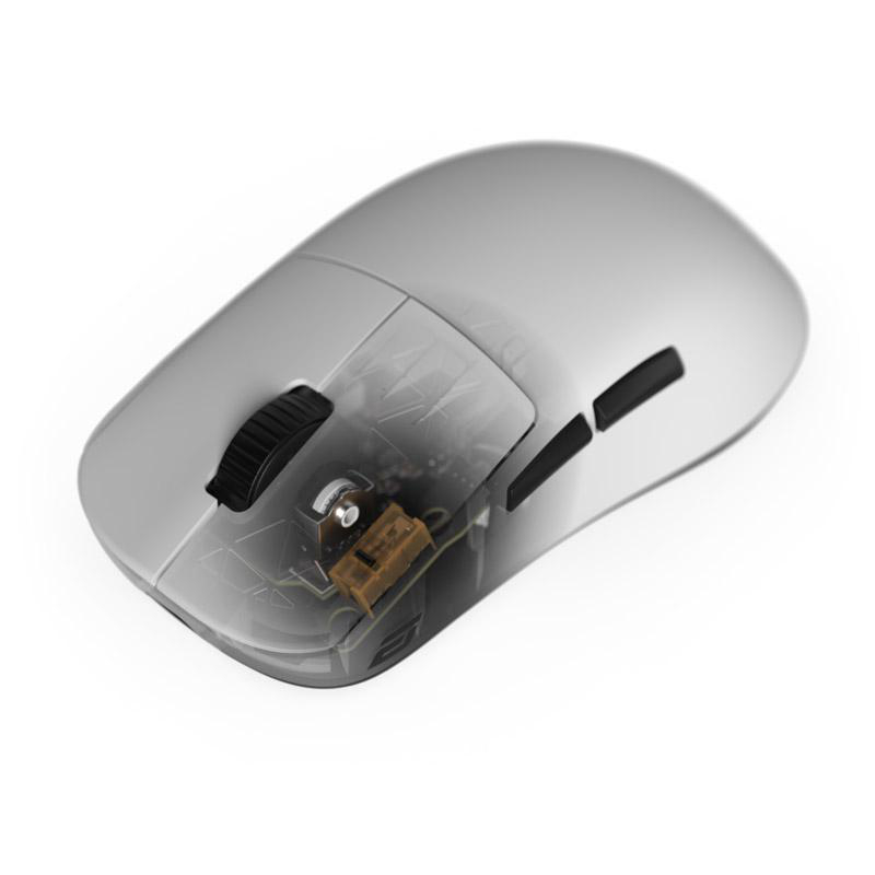 Eine graue Computermaus mit einem transparenten Bereich, der interne Komponenten zeigt, darunter ein Scrollrad, Tasten und eine Platine.