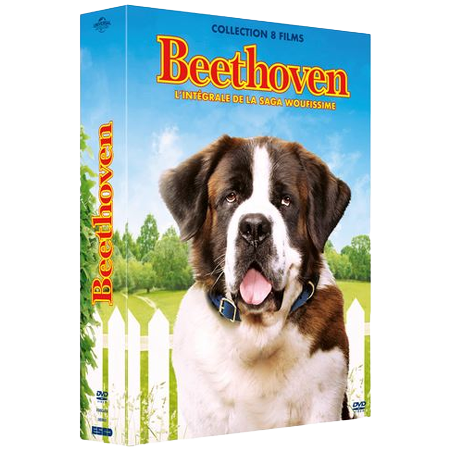 Couverture DVD de Beethoven. Un grand chien Saint-Bernard regarde vers l'avant. Le fond comprend une clôture blanche, des arbres et un ciel bleu.