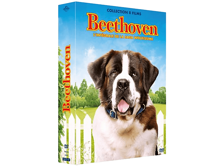 Universal Beethoven - L'intégrale Dvd