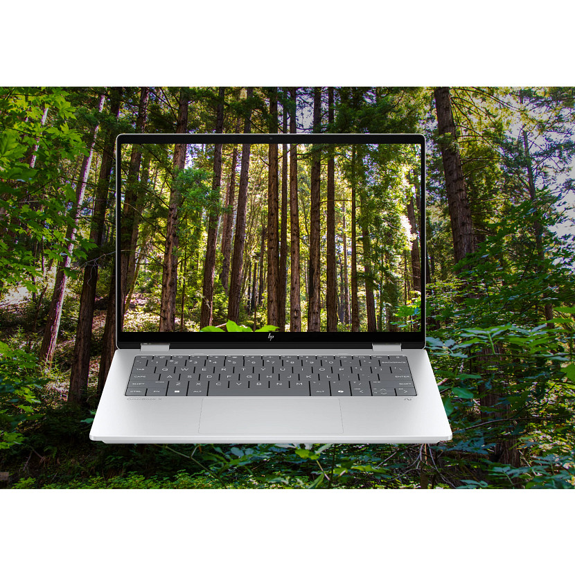 Laptop wyświetla scenę leśną. Laptop stoi przed lasem z wysokimi drzewami. Ekran pokazuje gęsty las.