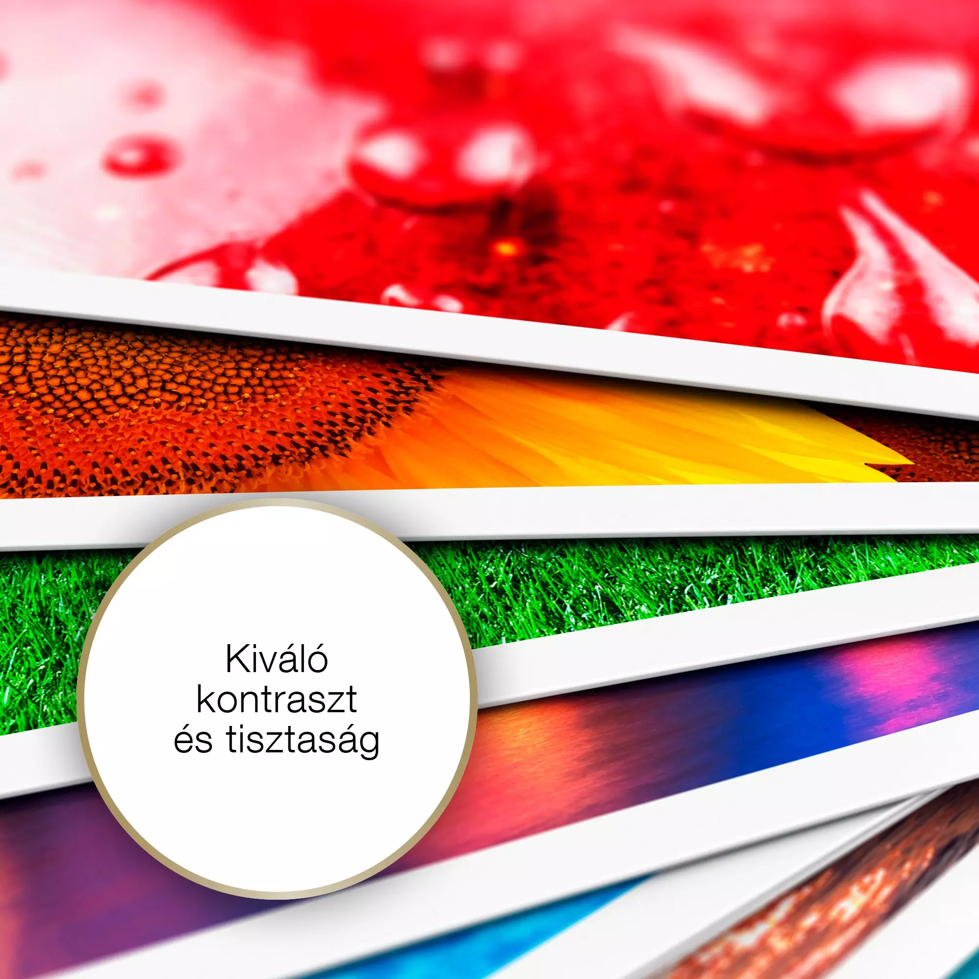 A képen képek rétegei láthatók: piros, napraforgó, fű és színes textúrák. Fehér keretek veszik körbe a képeket.