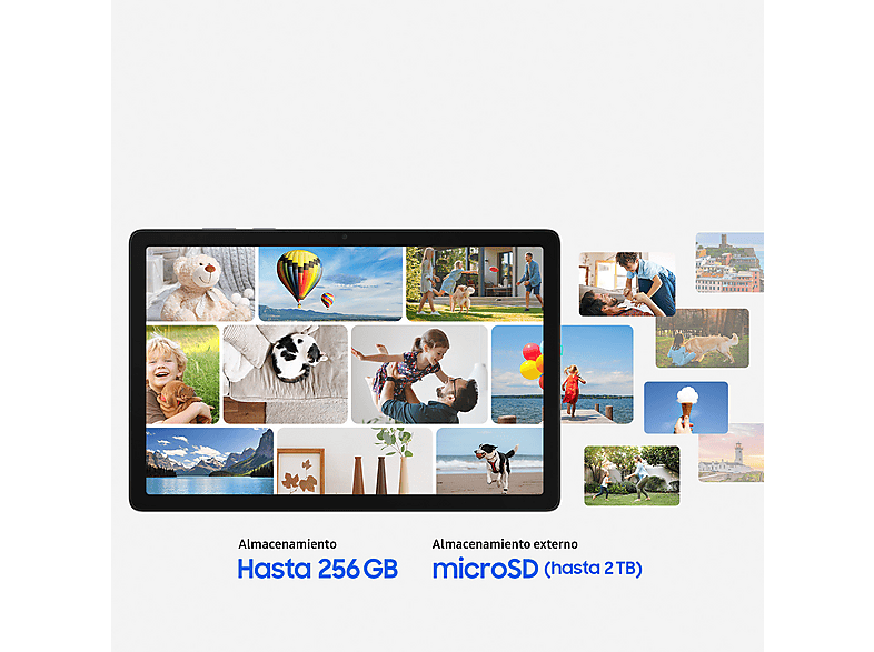 Vista 2