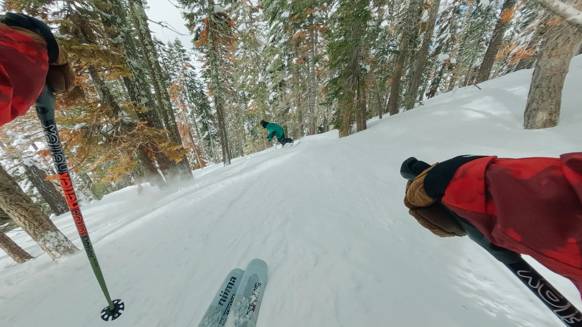 Skifahrer fährt einen schneebedeckten Hang im Wald hinunter. Bäume säumen die Seiten. Skier und Stöcke sind im Vordergrund, ein anderer Skifahrer in der Ferne.