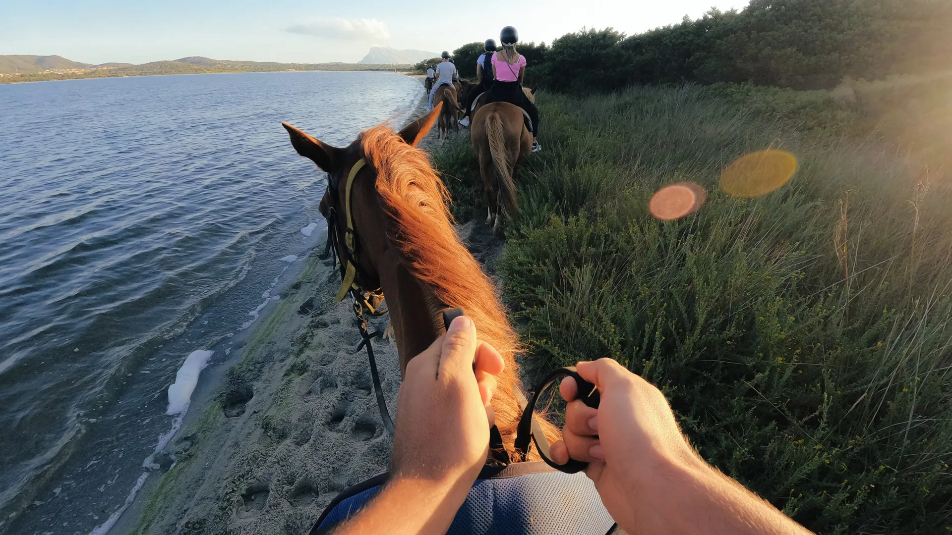 Cavalieri a cavallo sulla spiaggia. Cavalli marroni e cavalieri sono vicino all'acqua. Il sole splende sull'acqua.