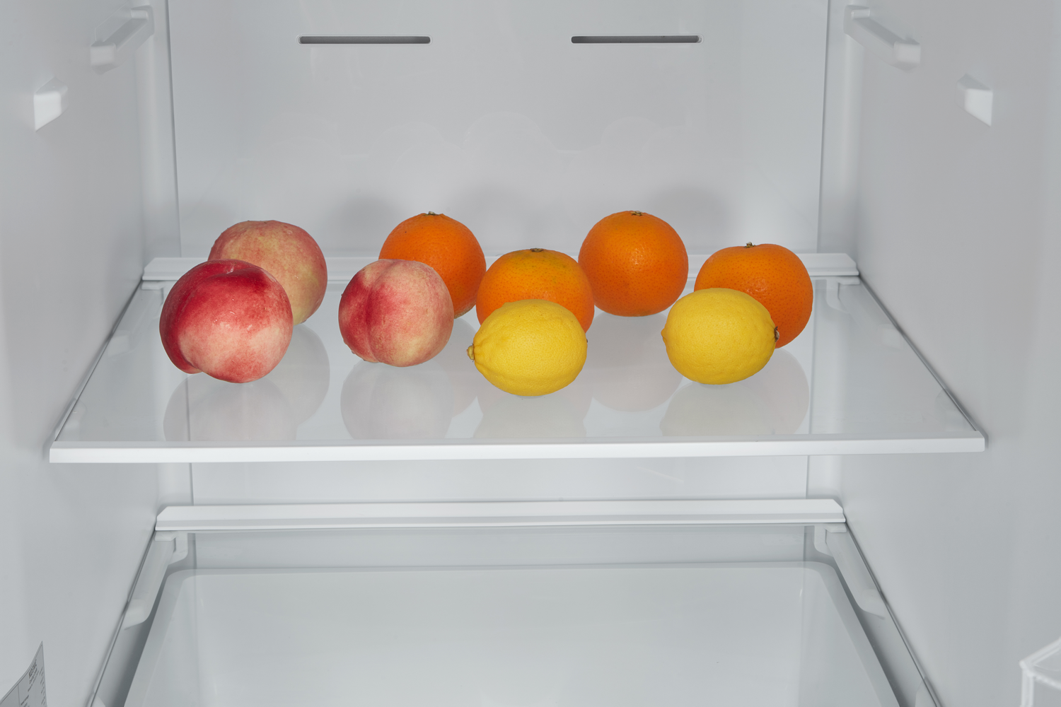 Dentro de un refrigerador, hay melocotones, naranjas y limones en un estante. El refrigerador es blanco con un estante de vidrio.