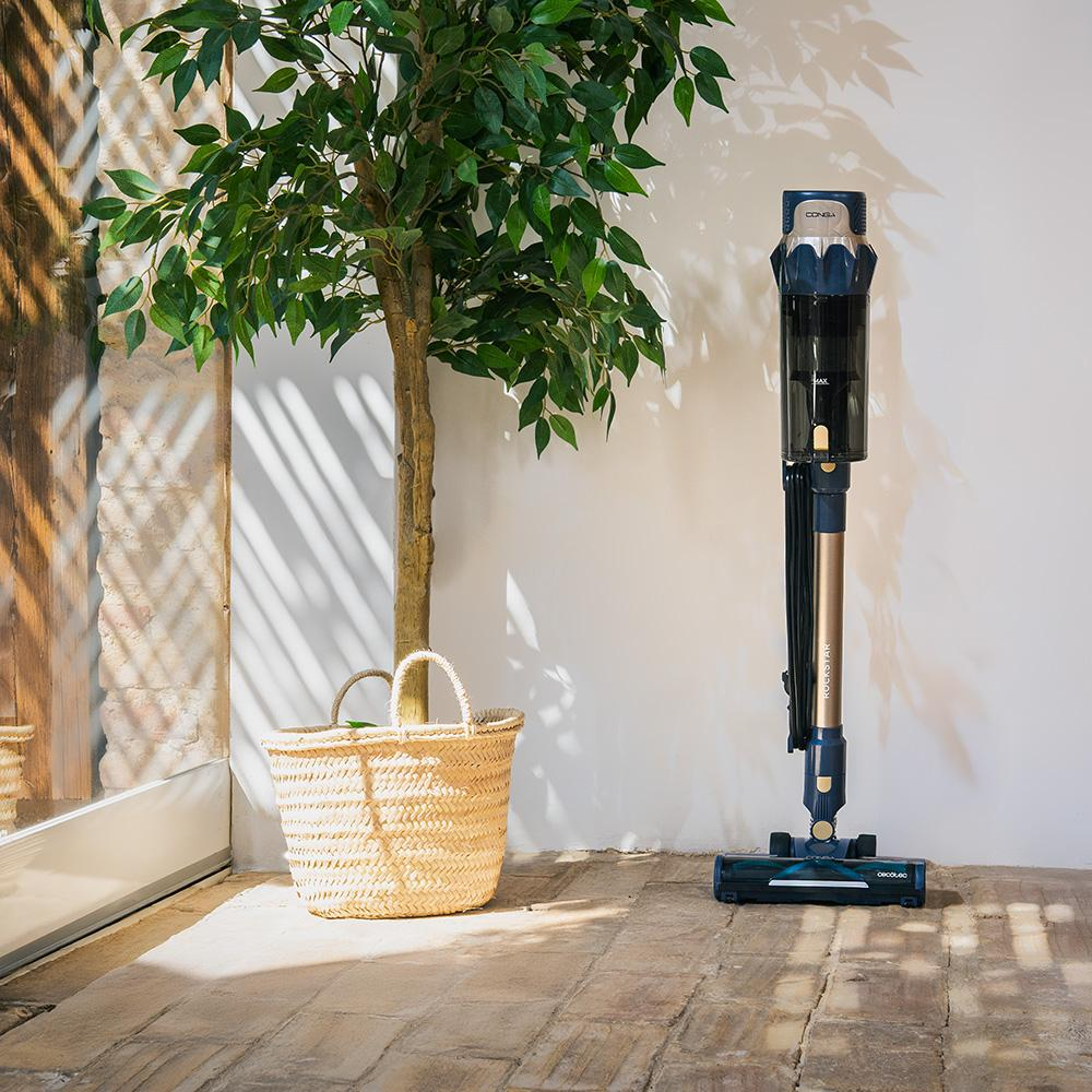 Una aspiradora inalámbrica junto a un árbol y una cesta tejida. El fondo es una pared blanca con luz solar.
