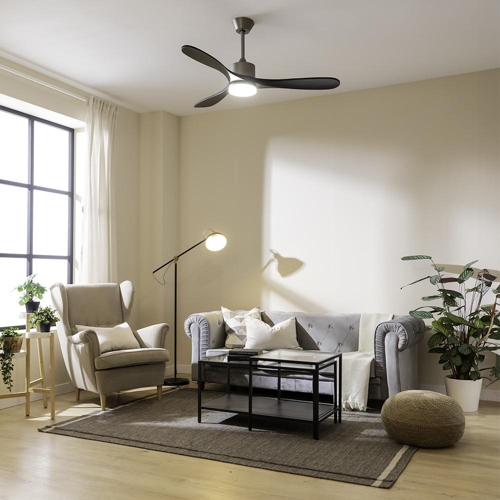 Salón con sofá, sillón, mesa de centro, alfombra y ventilador de techo. Plantas y una lámpara de pie decoran.