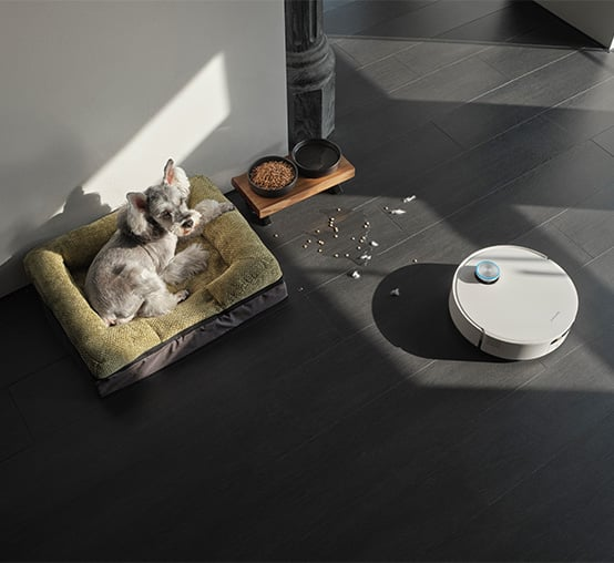 Pies leży w łóżku obok misek z jedzeniem. Robot sprzątający znajduje się na ciemnej podłodze, prawdopodobnie sprzątając obszar.