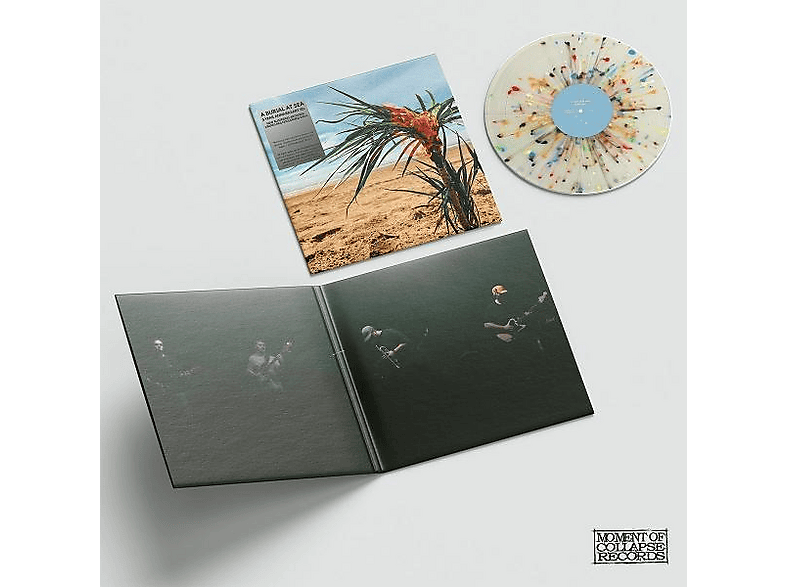 Thumbnail - A Burial At Sea - (5-Year-Anniversary Edition) (Vinyl)