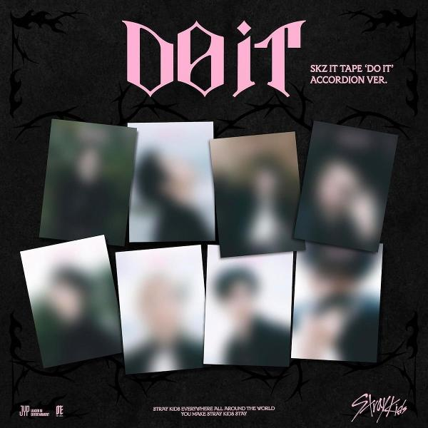 Album cover with the word 'DOIT' in pink, blurred images, and the text 'Stray Kids'. Dark background with thorns.