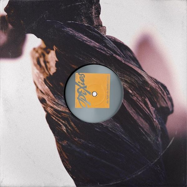 Eine Schallplatte mit gelb-orangefarbenem Etikett mit dem Bandnamen Pixies, vor dunklem, strukturiertem Hintergrund.