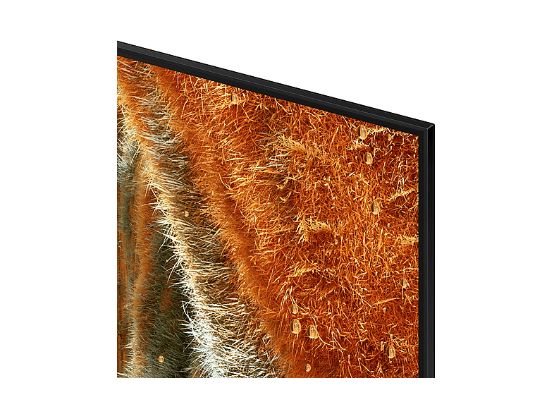 Vista 3