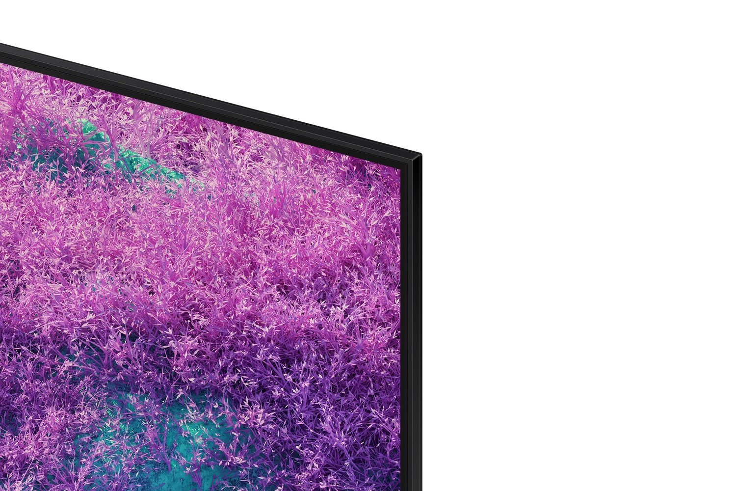 Primer plano de una pantalla de TV que muestra un campo de plantas moradas. El televisor tiene un marco negro. Fondo blanco.