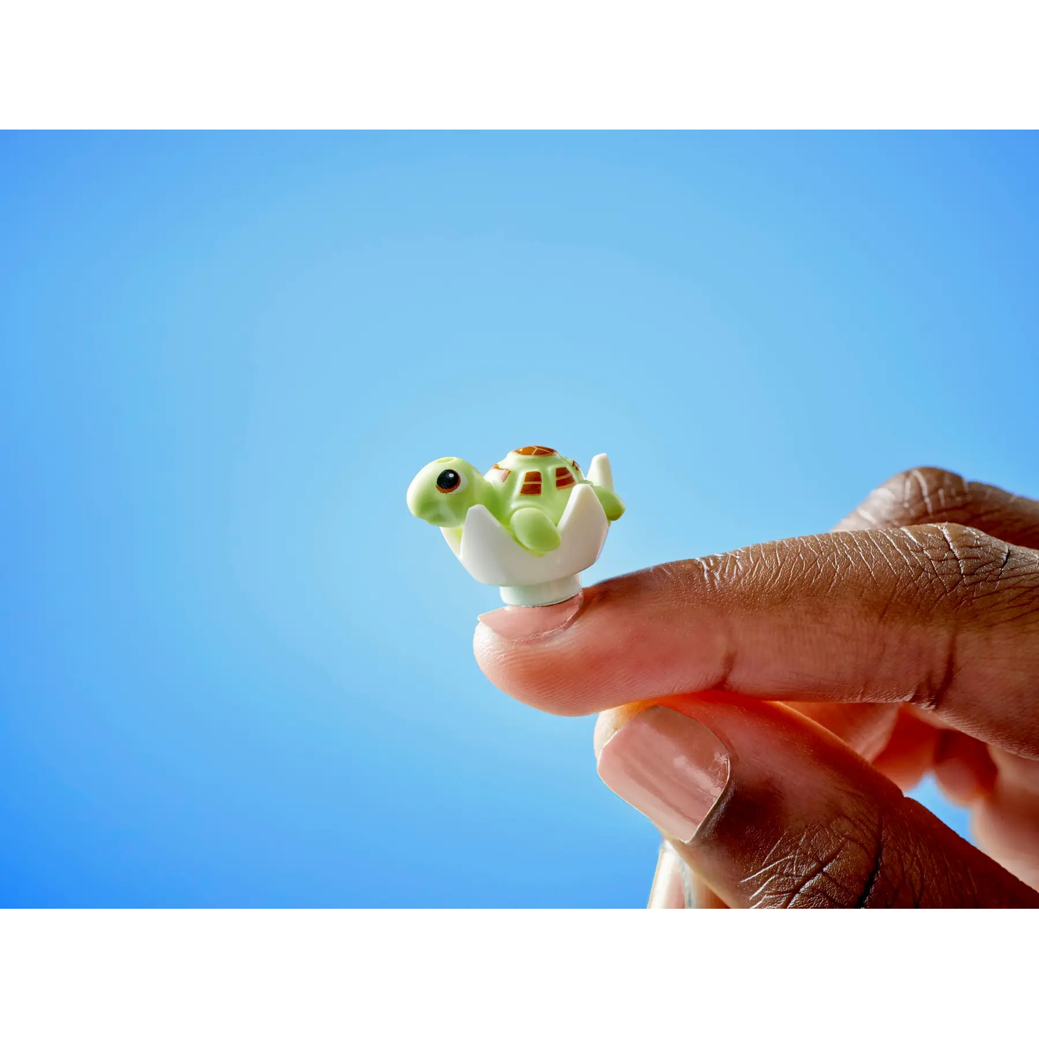 A hand holds a toy turtle hatching from an egg against a blue background. The turtle is green, brown, and white.