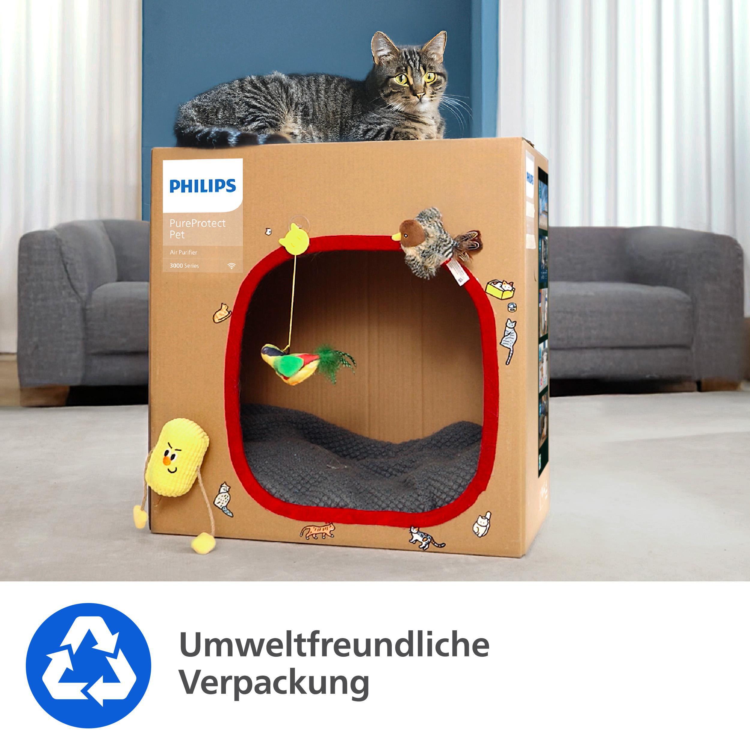 Eine Katze sitzt auf einem Katzenhaus aus Pappe. Das Haus hat Spielzeug und einen roten Rand. Im Hintergrund ist ein Sofa.
