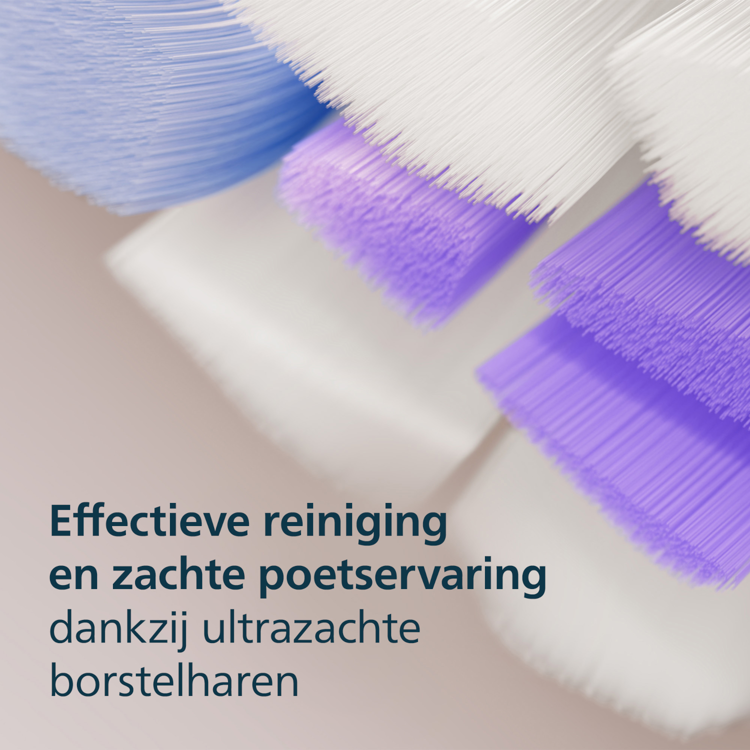 Close-up of toothbrush bristles: purple, white, and blue. Text reads 'Effective cleaning and gentle brushing experience'.