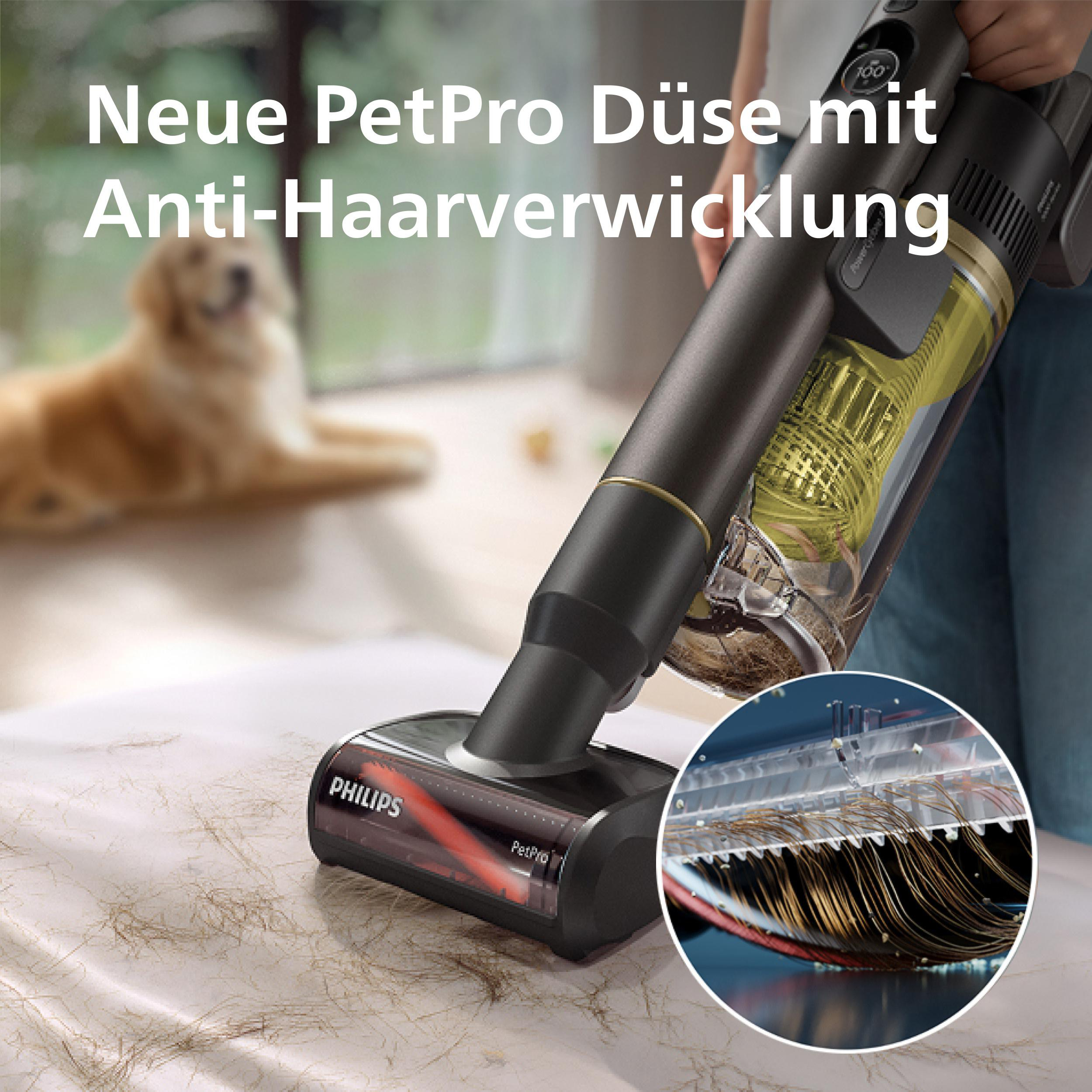 Ein Staubsauger mit PetPro-Aufsatz reinigt eine Oberfläche mit Tierhaaren. Im unscharfen Hintergrund ist ein Hund zu sehen.