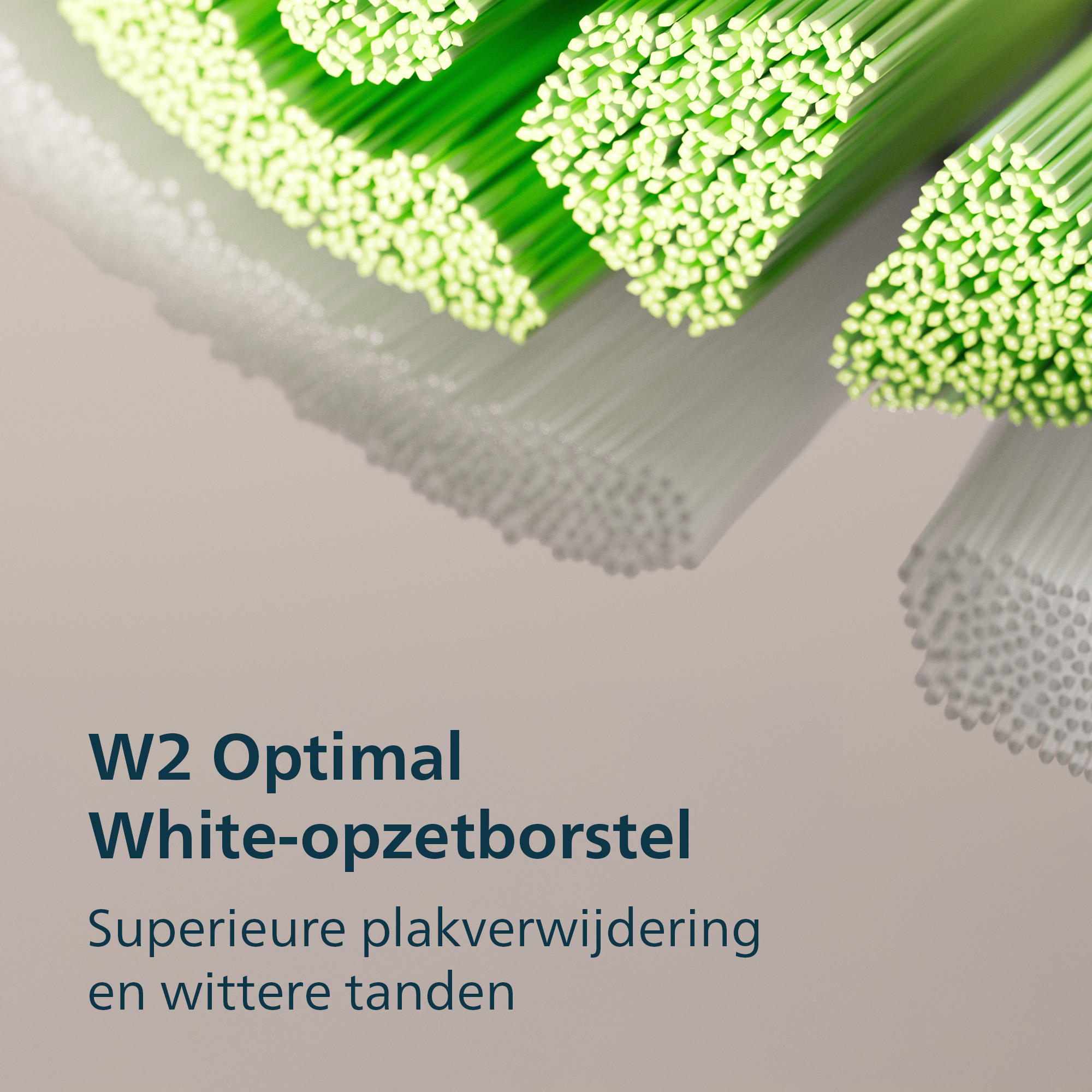 Close-up of green and white toothbrush bristles. Text reads 'W2 Optimal White-opzetborstel' and 'Superieure plakverwijdering...'